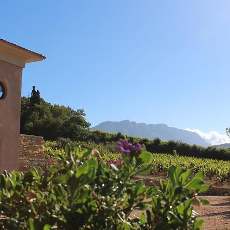 La Bastide - Le Grenache - Le Syrah Au Domaine Chateau Henri Bonnaud Le Tholonet Εξωτερικό φωτογραφία