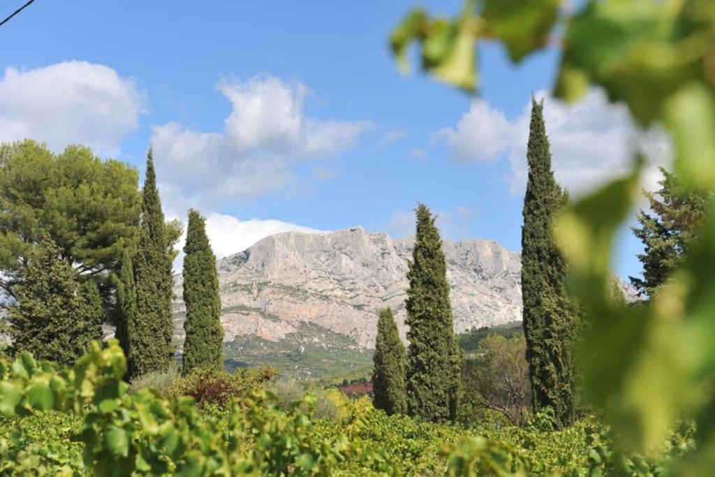 La Bastide - Le Grenache - Le Syrah Au Domaine Chateau Henri Bonnaud Le Tholonet Εξωτερικό φωτογραφία