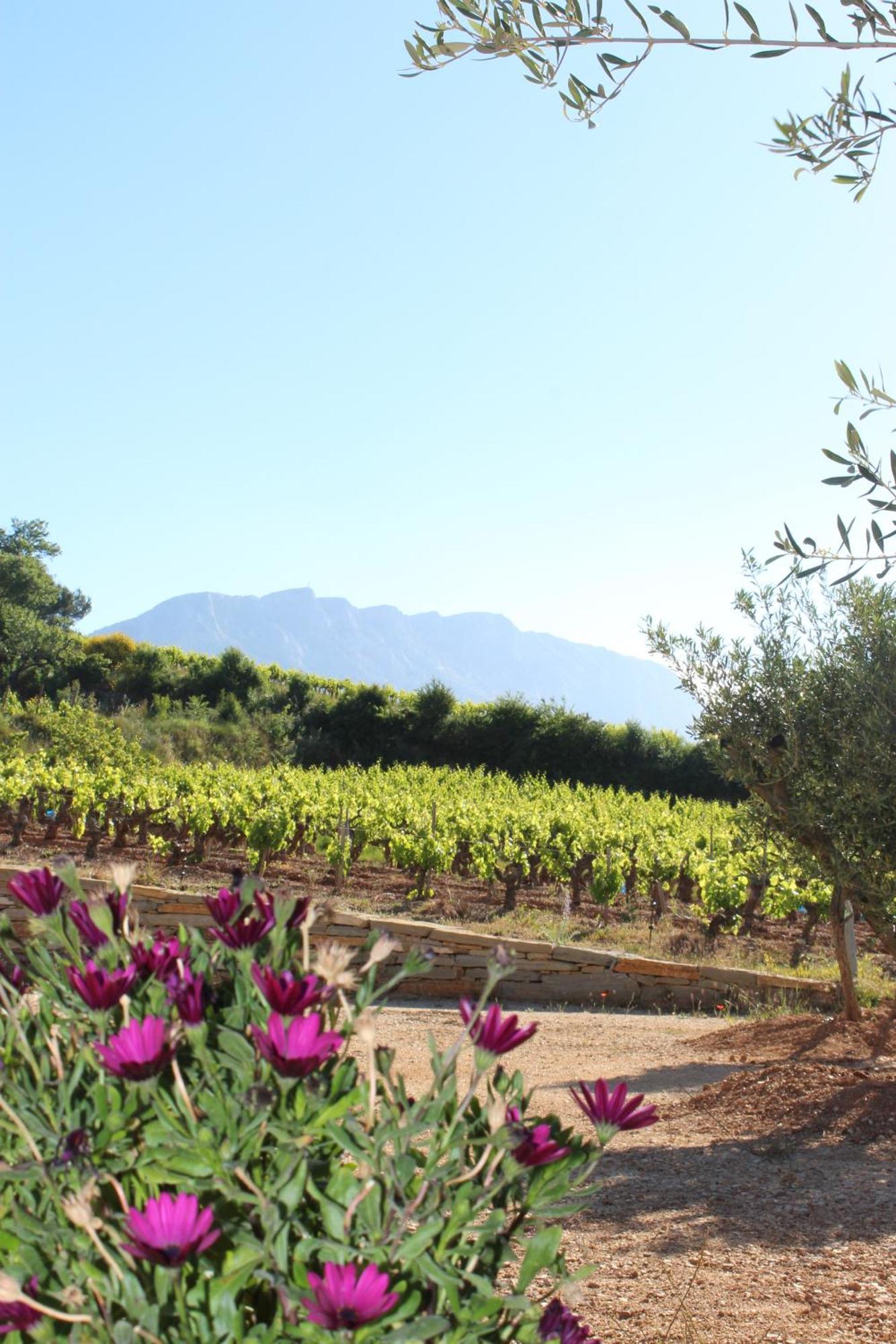 La Bastide - Le Grenache - Le Syrah Au Domaine Chateau Henri Bonnaud Le Tholonet Εξωτερικό φωτογραφία