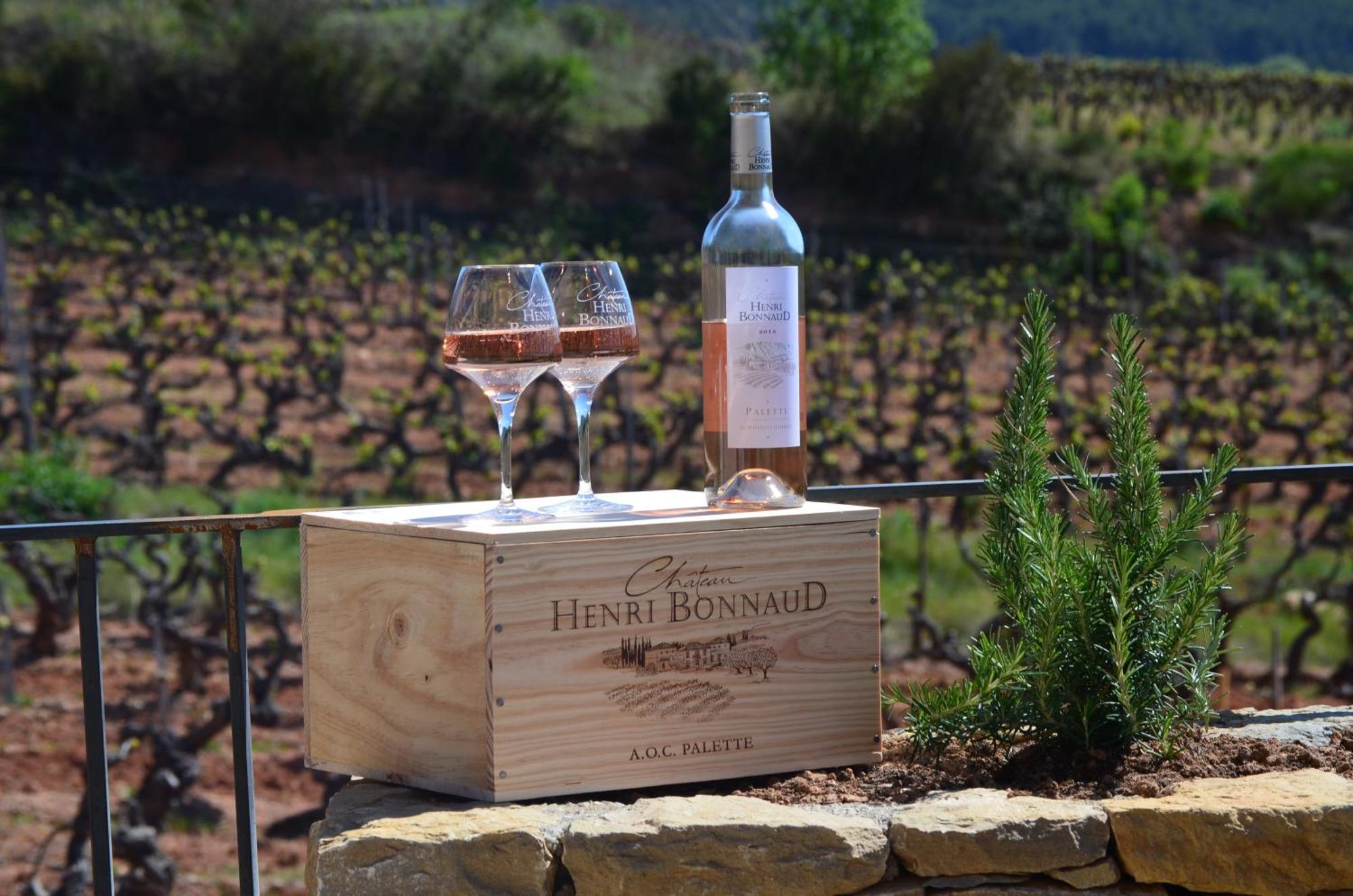 La Bastide - Le Grenache - Le Syrah Au Domaine Chateau Henri Bonnaud Le Tholonet Εξωτερικό φωτογραφία