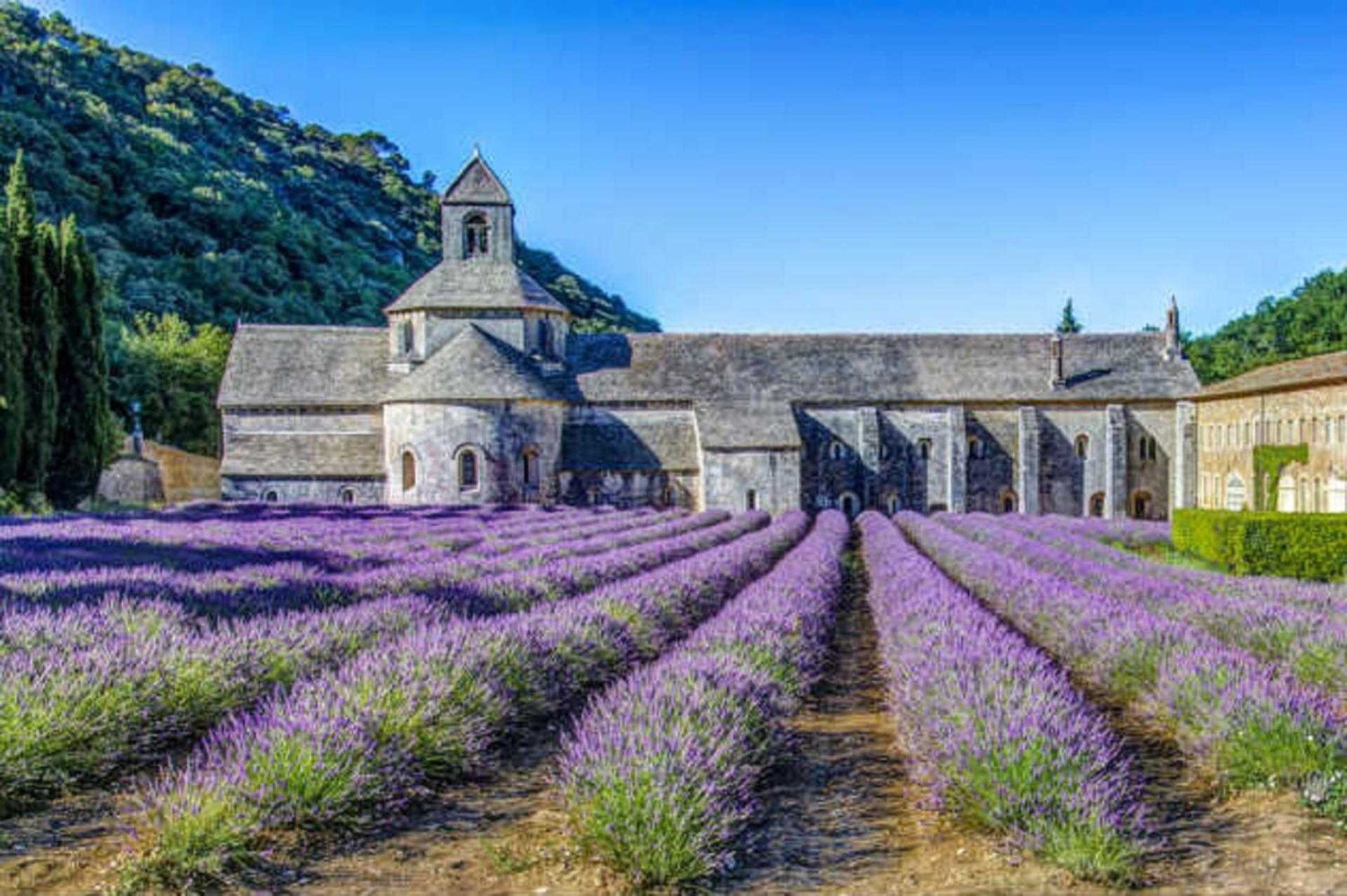 La Bastide - Le Grenache - Le Syrah Au Domaine Chateau Henri Bonnaud Le Tholonet Εξωτερικό φωτογραφία